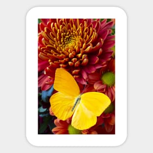 Yellow Butterfly On Orange Mum Sticker